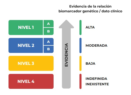 Infografía de Evidencia de la relación biomarcador genético / dato clínico