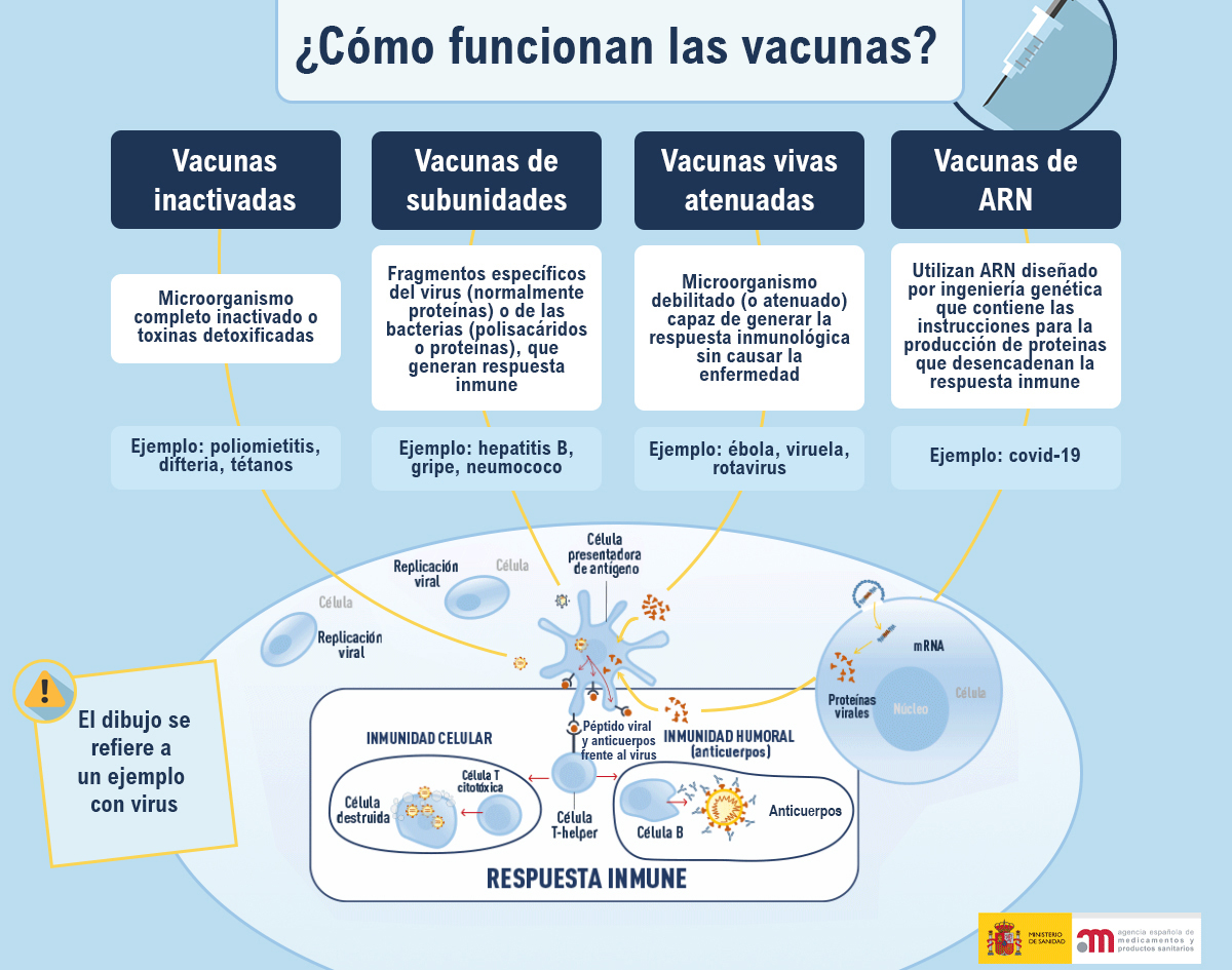 Gráfico evolución Gráfico evolución