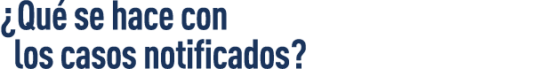  Qué se hace con  los casos notificados  