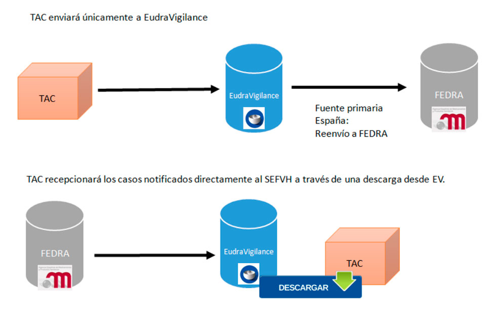 Preguntas Y Respuestas Sobre La Transicion Al Flujo Centralizado A Traves De Eudravigilance De La Comunicacion De Sospechas De Reacciones Adversas Agencia Espanola De Medicamentos Y Productos Sanitarios