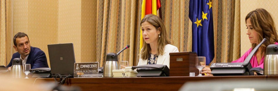 Comparecencia de Mª Jesús Lamas, directora de la AEMPS