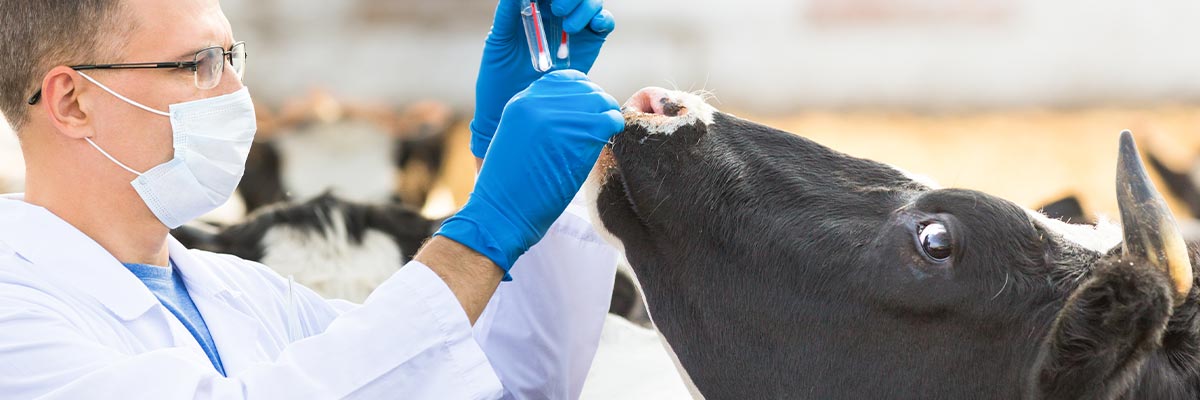 portada medicamentos veterinarios variante