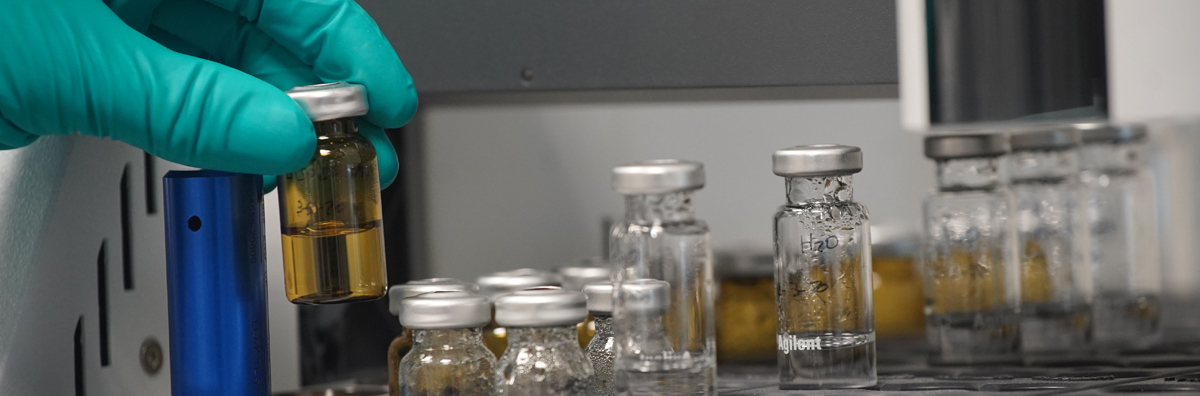 Título imagen VIII Jornada nacional de CEIm