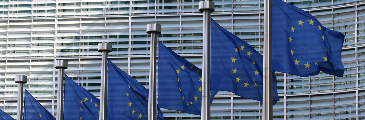Comisión Europa