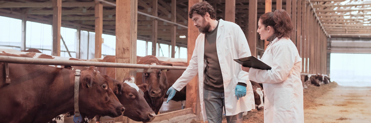 AEMPS elabora unas recomendaciones sobre principios éticos y condiciones de protección y bienestar animal