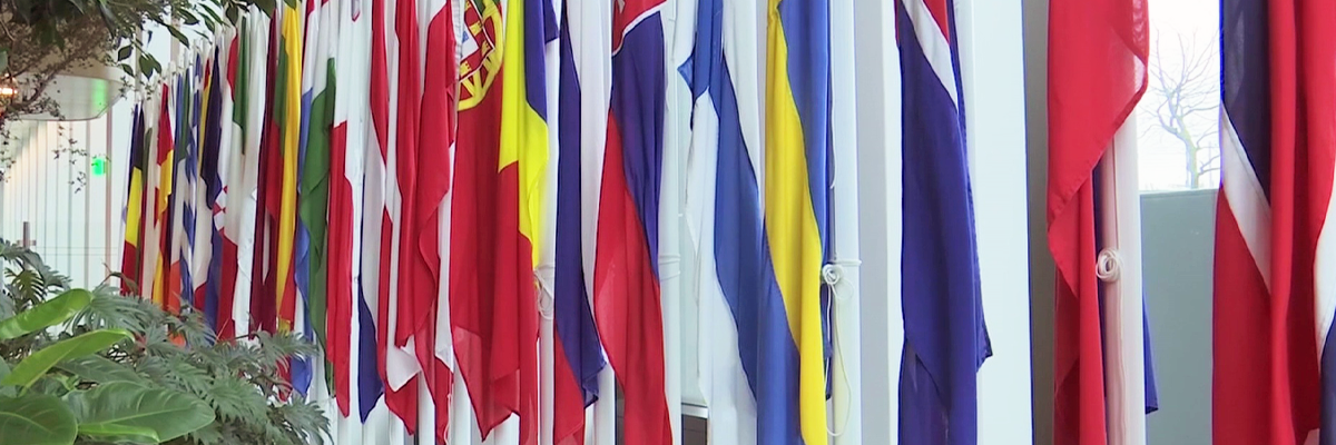 hma-banderas-europeas