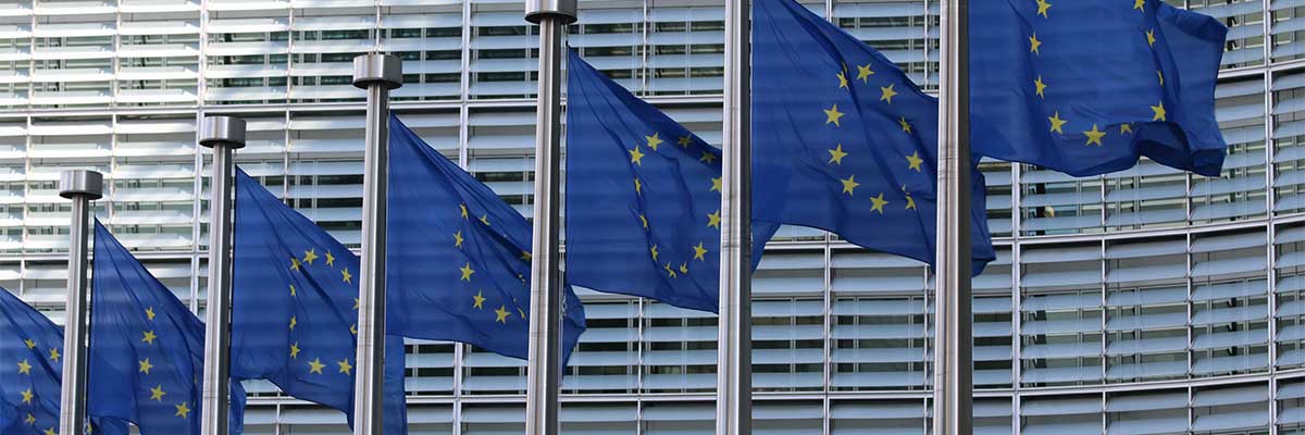 comision europea