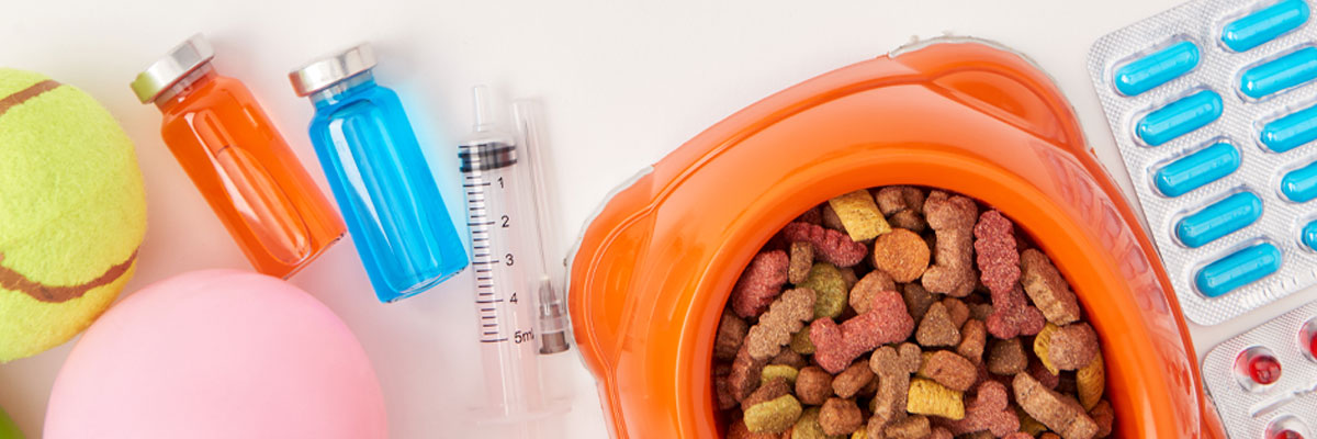 animales compania medicamentos