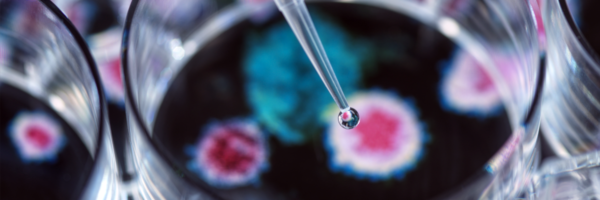 España consolida su liderazgo europeo en investigación clínica