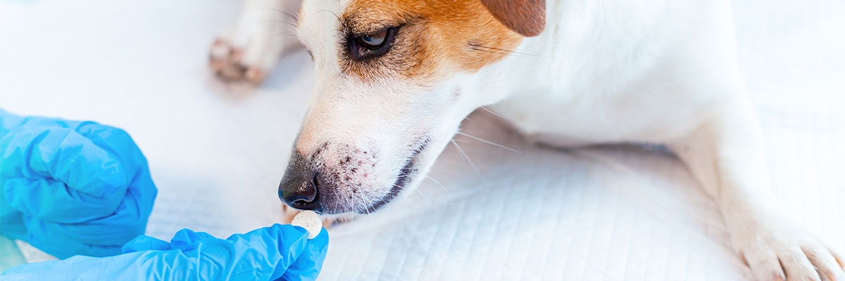 portada med vet no biologicos